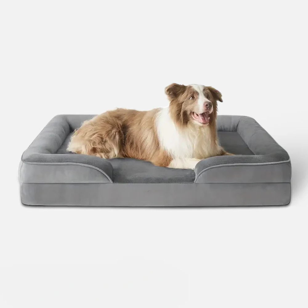 Orthopedic Luxury Memory Foam Dog Bed