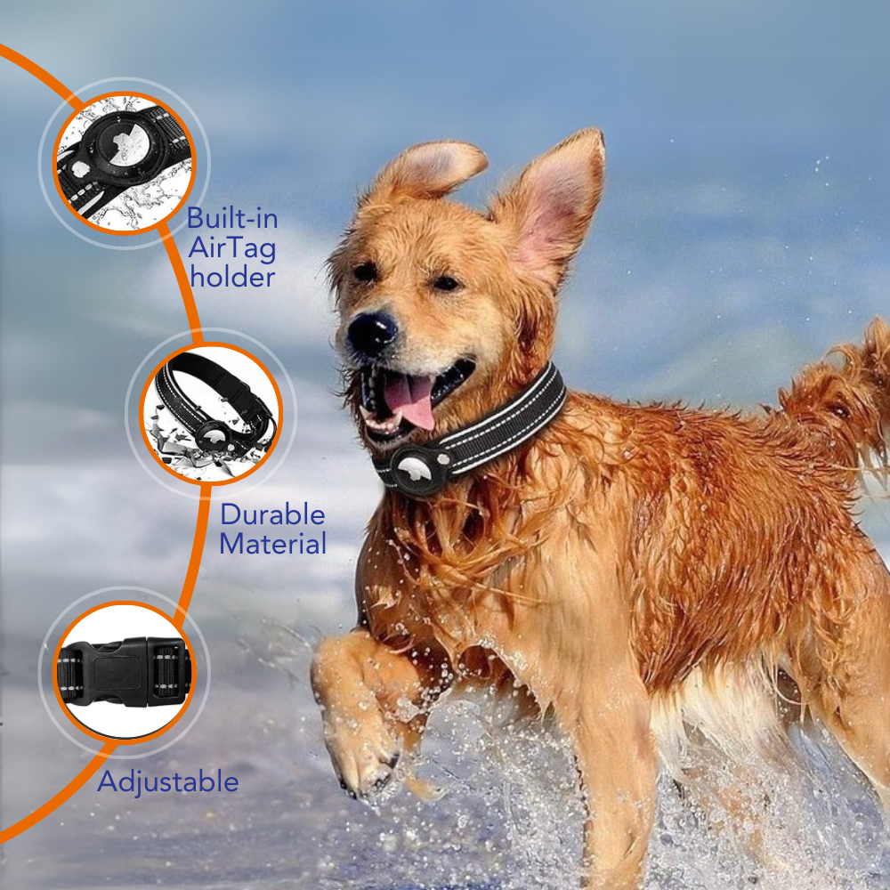 Reflective Dog Collar with AirTag Holder