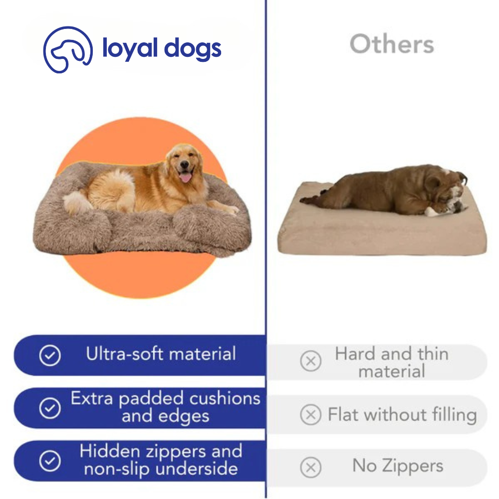 Orthopedic Cloud Bed