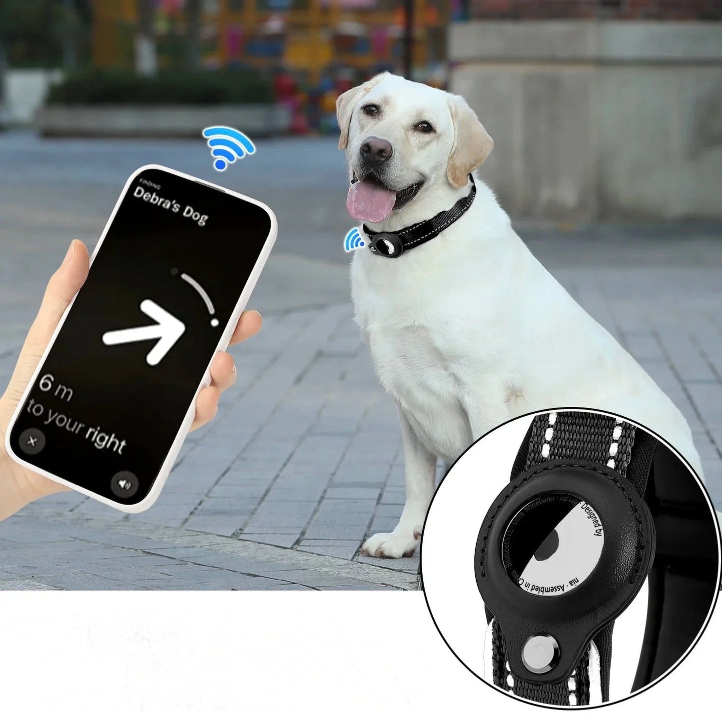 Reflective Dog Collar with AirTag Holder