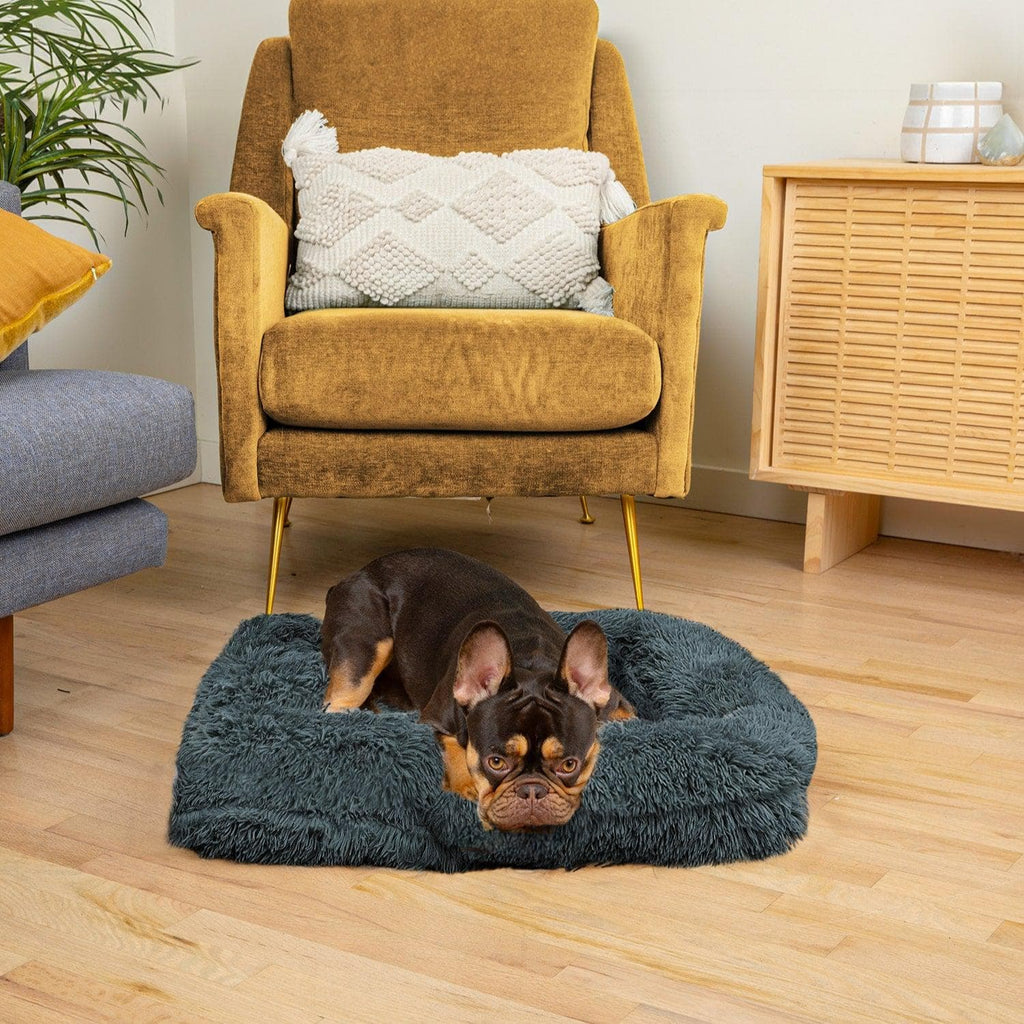 Orthopedic Cloud Bed