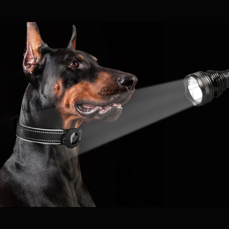 Reflective Dog Collar with AirTag Holder