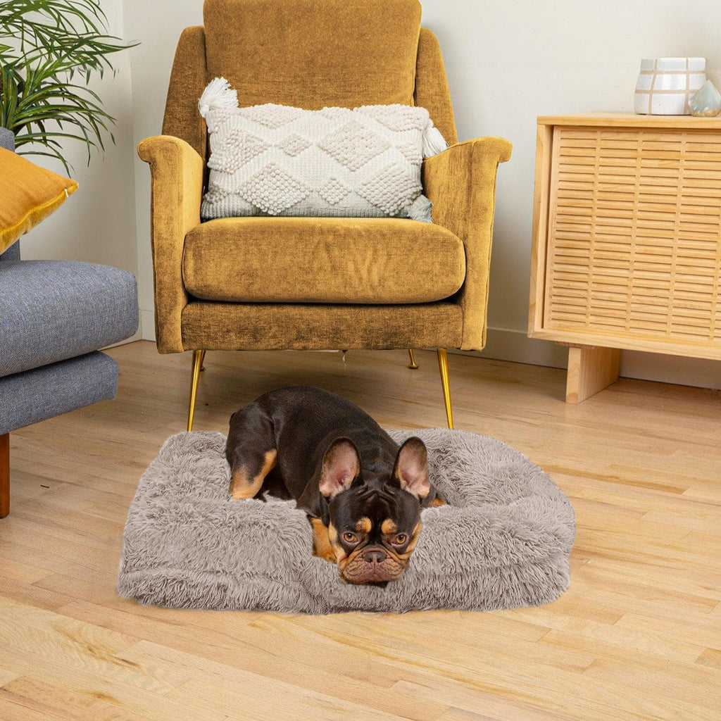 Orthopedic Cloud Bed