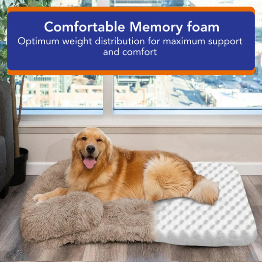 Orthopedic Cloud Bed
