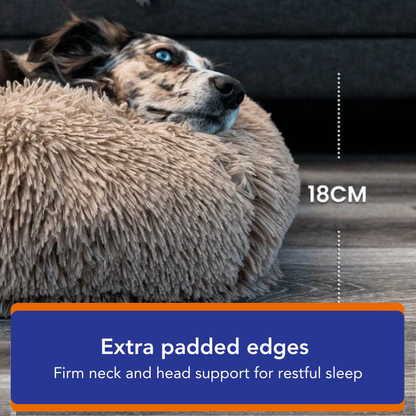 Orthopedic Cloud Bed
