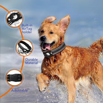 Reflective Dog Collar with AirTag Holder