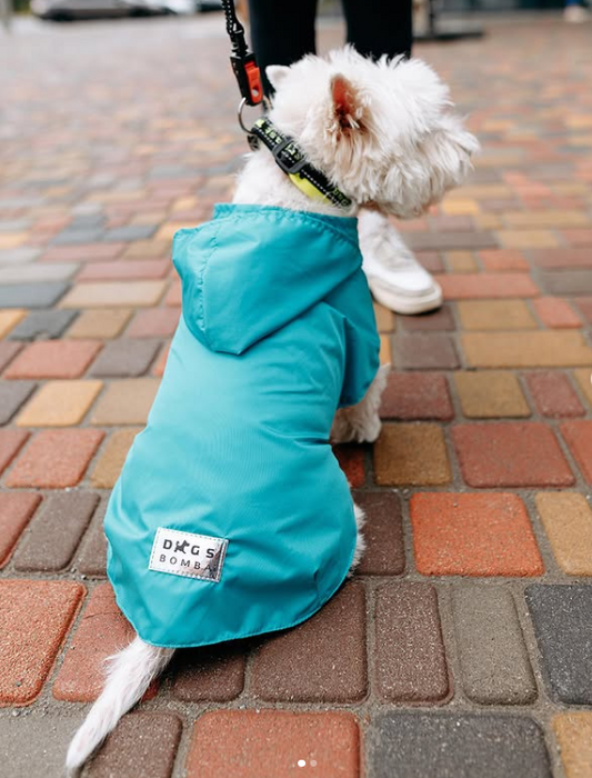Lightweight Raincoat