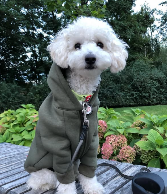 Cozy Fleece Hoodie jacket