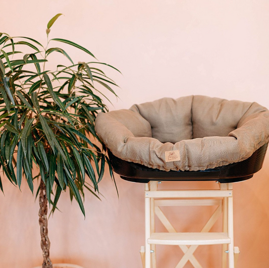 Cozy Comfort Dog Bed