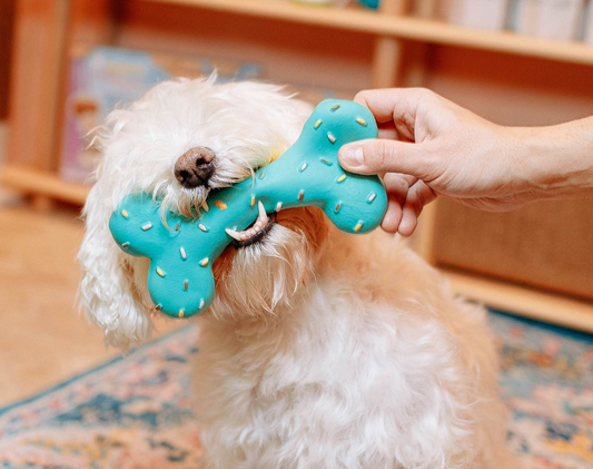 Squeaky Plush Bone