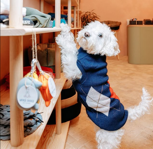 Cozy Sleeveless Dog Sweater