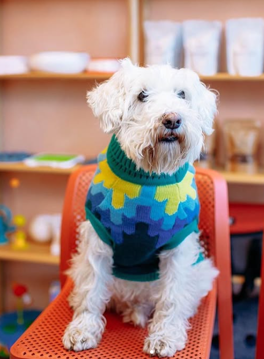 Soft Knit Sweater