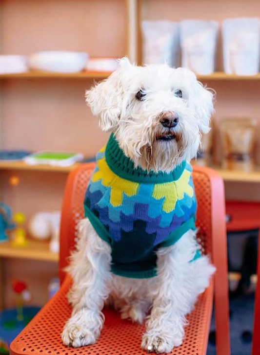 Soft Knit Sweater