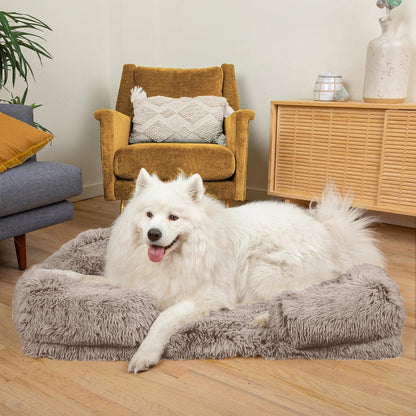 Orthopedic Cloud Bed
