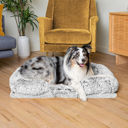 Orthopedic Cloud Bed